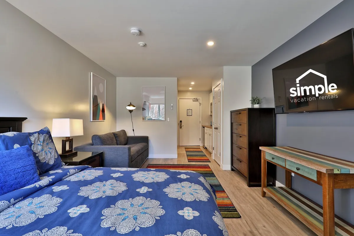 This image showcases a cozy interior with a bed dressed in blue floral bedding, a sleeper sofa, a colorful area rug, and a wall-mounted TV. The scene is bright and inviting, with elements that suggest both relaxation and entertainment.